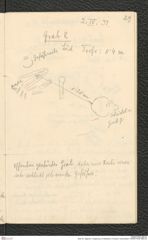 Seite 30, Tagebuch "Umgebung von Mistelbach | Poysdorf | Schanzleiten" (NHMW-PRAE-BBB-25)